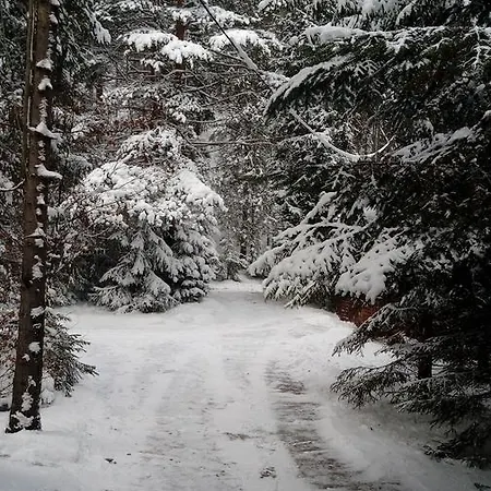 Krasnal * Juszczyn