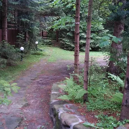 Krasnal * Juszczyn